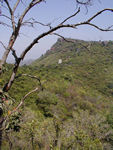 The path leads over to that temple peeking from the hillside