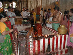 Annointing a smaller bull statue.  People brought flowers, paste, powders, coconuts, oils etc.  