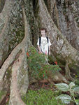 Maggie amidst the roots of a big tree