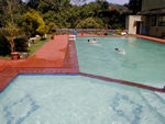 The swimming pool.  The kids watched monkeys playing in the trees.