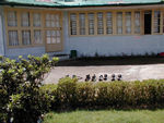 Shoes drying in front of our big but dark and stuffy room