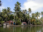 The backwaters cover only about a third fo the area they did in the mid-1800s.  Legal and illegal land reclamation projects reduced the area by about 20% between 1968 to 2000.  Pollution and fishing using dynamite, poison, and very fine nets have extirpated mangroves, crocodiles, and migratory fish.  