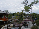 Japanese garden