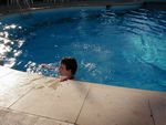 Benidorm: Polar bear in ice cold pool