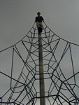 Tote at top of "Eiffel Tower of Piles"