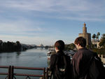 Watching the shells on the river