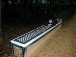 Goofball on tiled bench