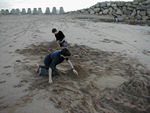 playing on the beach