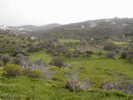 The fields are terraced