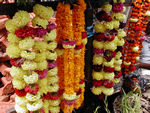 Garlands for sale