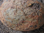 This curious nearly spherical kind of rock was placed in prominent places in Muktinath.  Just downhill from Muktinath was the only place we saw them.