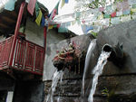 Some of the famous cow spouts.  Muktinath is a place where water flows copiously from the earth AND there is, supposedly, a natural perpetual flame sustained by  escaping natural gas.