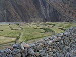 Fields with a stone wall