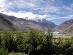 View out the dining room window