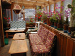 Dining room at Neeru Guest House.  It was nice, but it looks nicer here.