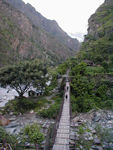 Typical suspension bridge