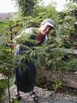 Monica with mysterious weed in the garden of a local restaurant