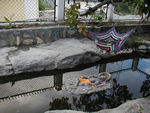 Vishnu, resting on snakes in a pool of water (the water is supposed to be milk, the children tell me.)