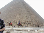 Camel ride touts and the Great Pyramid of Khufu at Giza.  Three kings of the Fourth Dynasty (2570-2450 BC) built pyramids here - about 10 kilometers west of Cairo.  Khufu is perhaps the most colossal single building ever erected on the planet. Its sides are accurately oriented to the four cardinal points of the compass.  Originally, it was 481 feet tall. The pyramid is built from 2,300,000 stone blocks, weighing between 2.5 and 15 tons.  The internal walls as well as those few outer-casing stones that still remain in place show finer joints than any other masonry constructed in ancient Egypt.  Herodotus said it took 20 years to build the pyramid itself.  Originally, the pyramid was covered with a fine, white,  polished limestone coating.  The Great Pyramid's core is made of yellowish limestone blocks, the outer casing (now almost completely gone) and the inner passages are of finer light-coloured limestone, and the interior burial chamber is built of huge blocks of granite. 