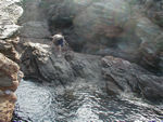 The boys on a big rock