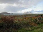 Dunmore head and Great Blasket Island