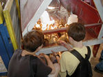 Ducklings at the Future Farmers stand